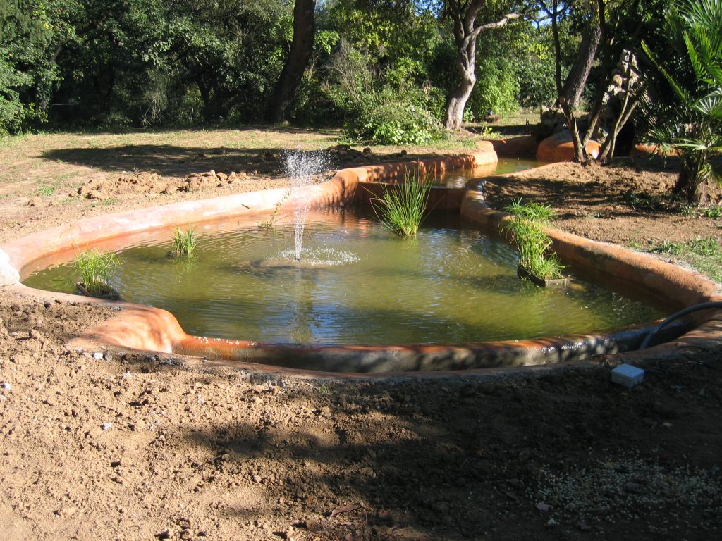 piscine naturelle